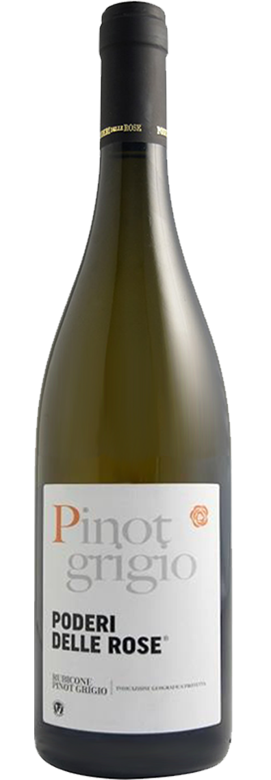 Pinot Grigio C. Intesa