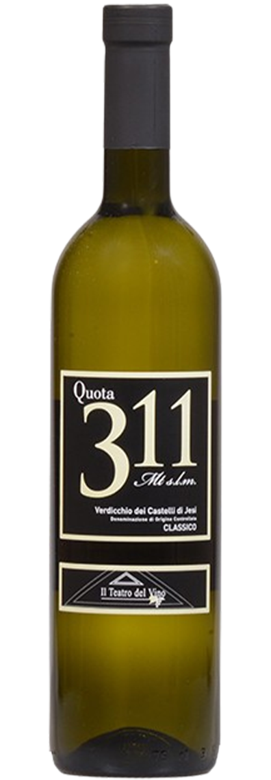 Verdicchio 311